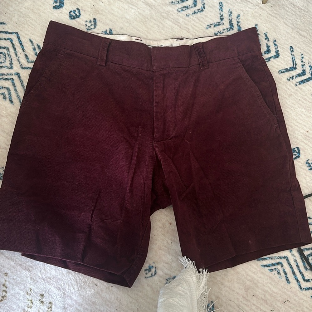 Size 28 Mr Turk shorts
